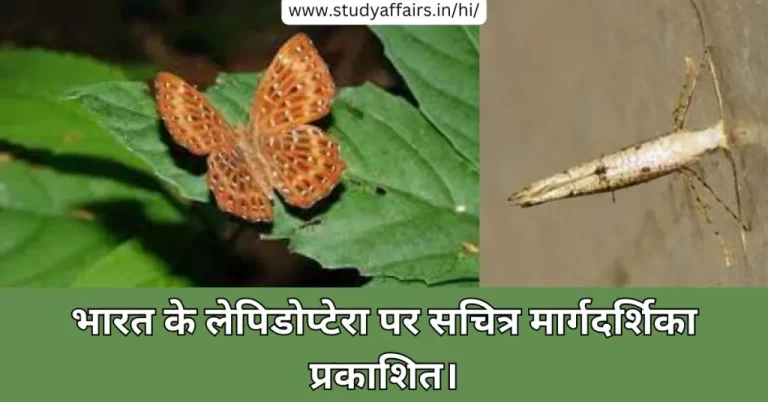ZSI ने 'एन इलस्ट्रेटेड गाइड टू द लेपिडोप्टेरा ऑफ इंडिया: टैक्सोनोमिक प्रोसेजर्स, फैमिली कैरेक्टर, डायवर्सिटी एंड डिस्ट्रीब्यूशन' प्रकाशित की