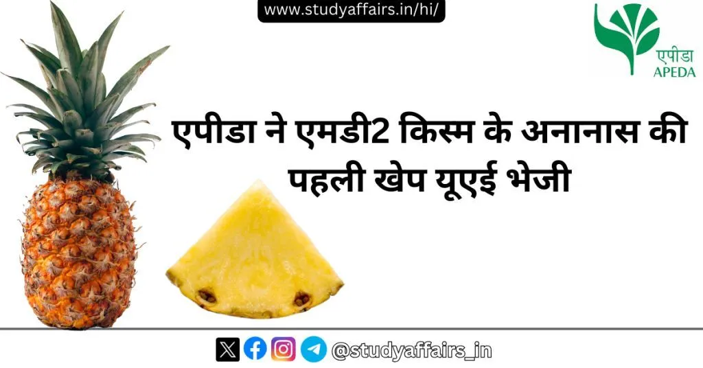 कृषि और प्रसंस्कृत खाद्य उत्पाद निर्यात विकास प्राधिकरण (एपीडा) ने संयुक्त अरब अमीरात (यूएई) को एमडी2 किस्म के अनानास की पहली खेप के निर्यात को मंजूरी दे दी।